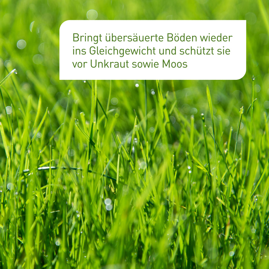 Rasenkalk für übersäuerte Böden