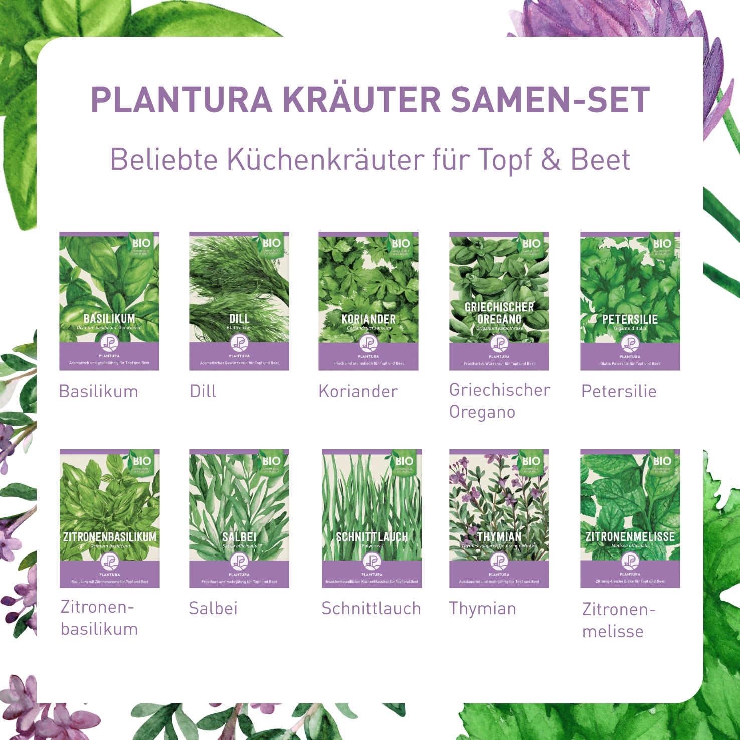 Kräuter Samen-Set mit Bio-Sorten