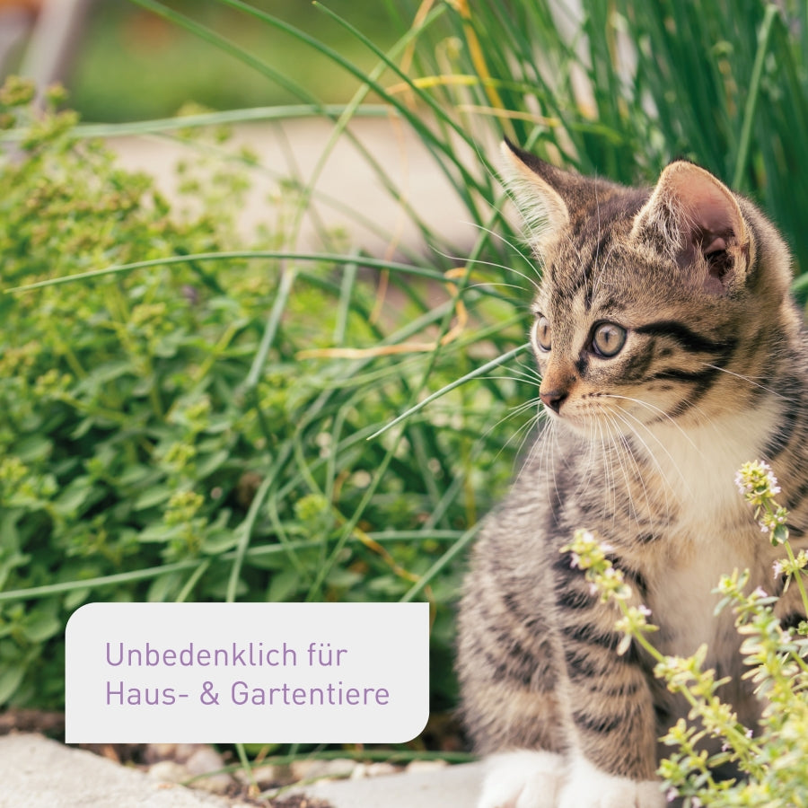 Bio-Kräutererde unbedenklich für Tiere