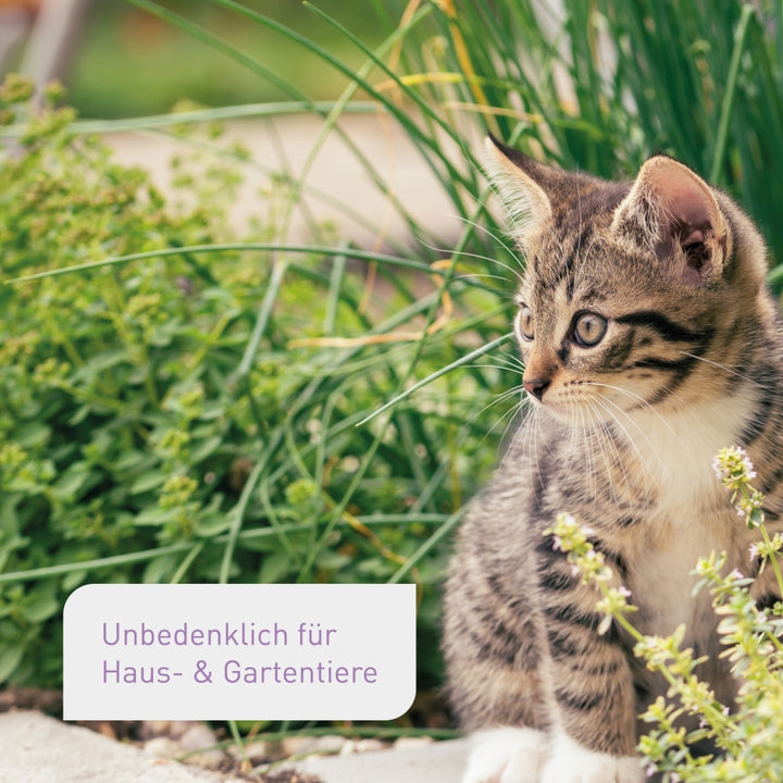 Bio-Kräutererde unbedenklich für Tiere