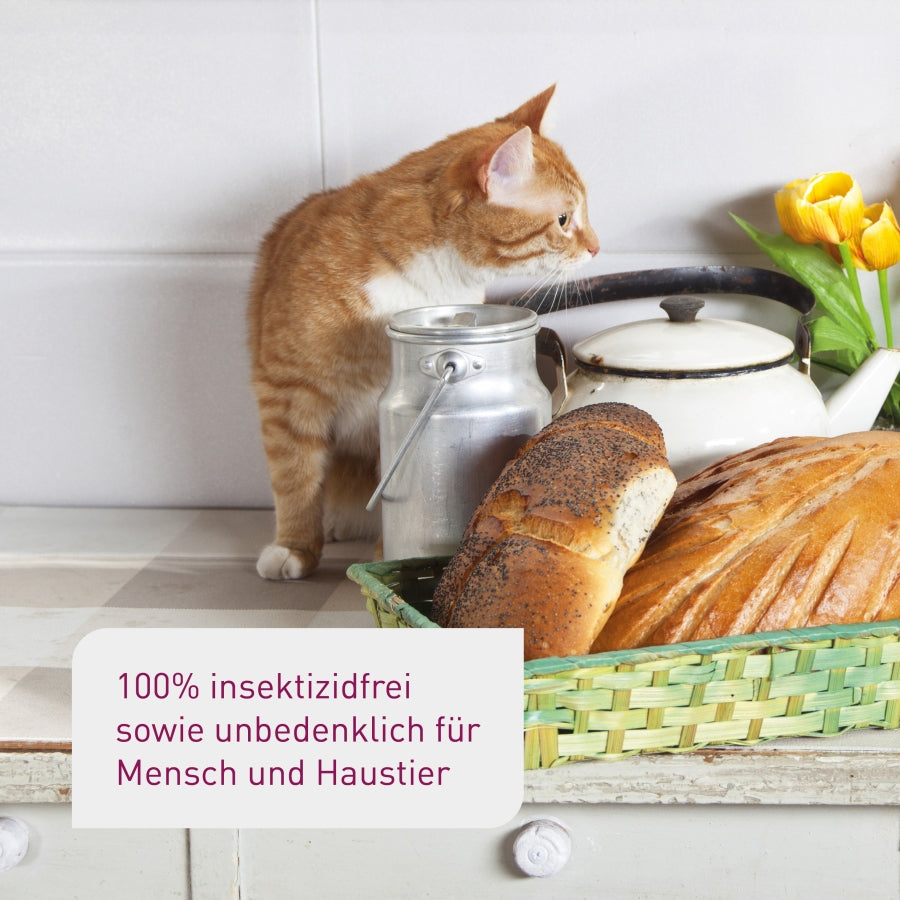 Insektizid- und giftfreie Lebensmittel-Mottenfallen