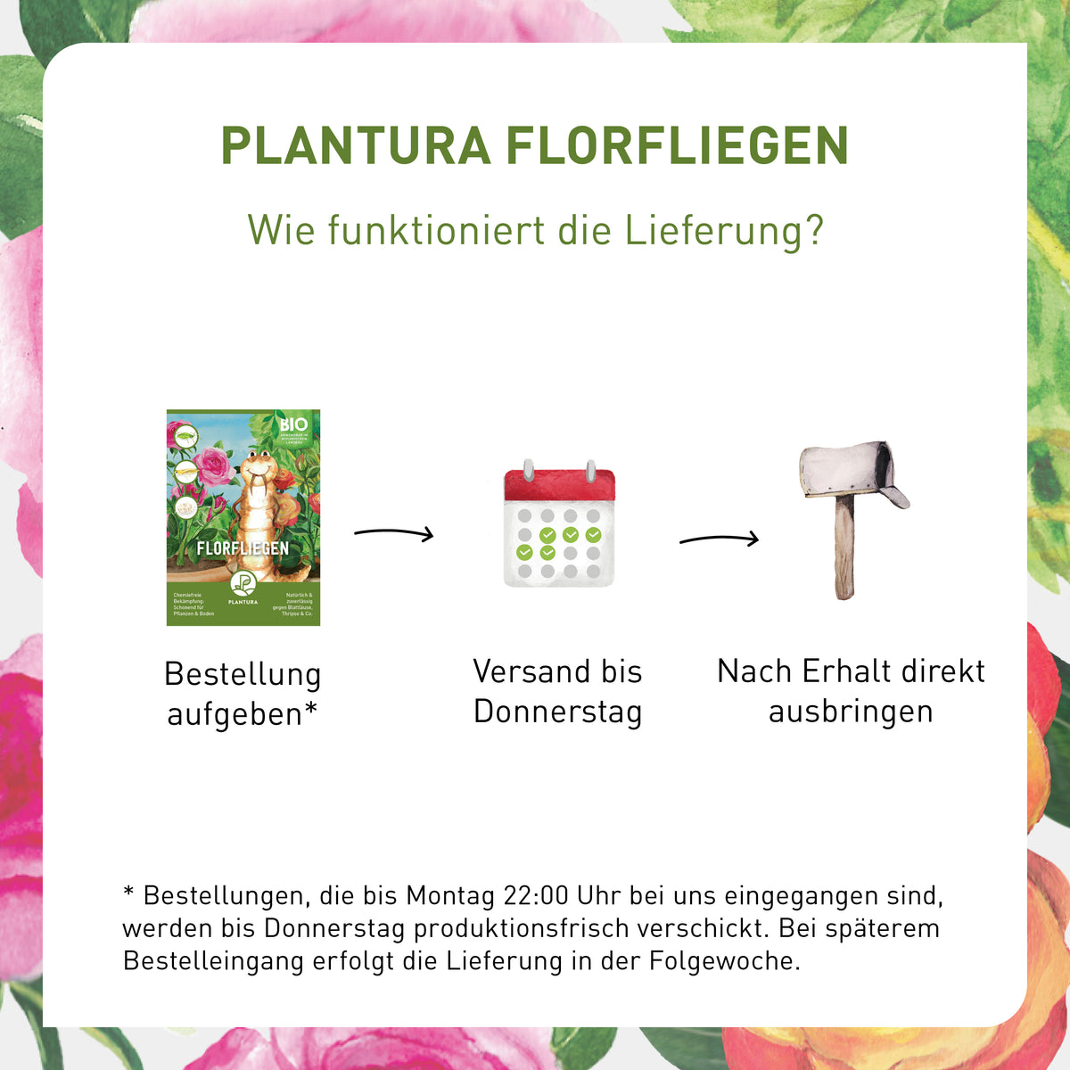 Lieferung Florfliegen von Plantura