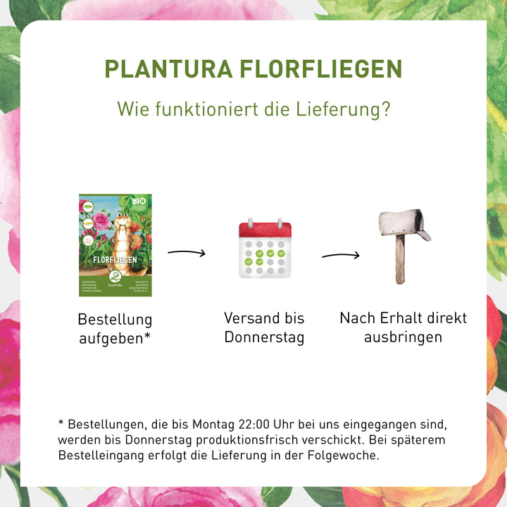 Lieferung Florfliegen von Plantura