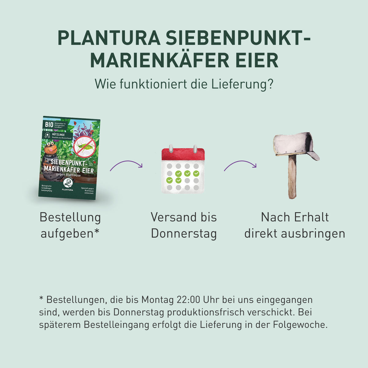 Lieferung Marienkäfer Eier von Plantura