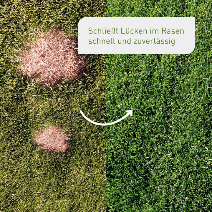 Kahle Stellen im Rasen vor und nach der Rasen-Reparatur