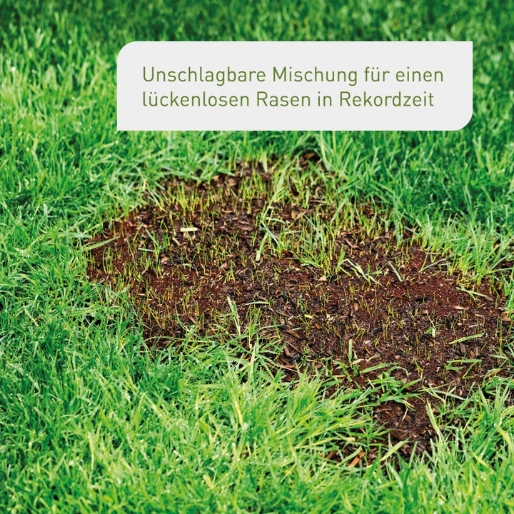 Plantura Rasen-Reparatur für Löcher