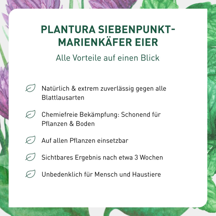 Vorteile von Marienkäferlarven als Nützlinge