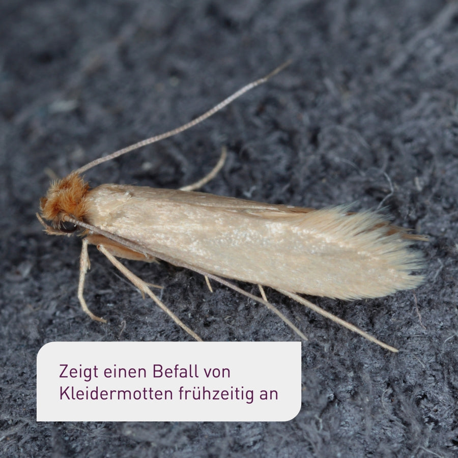Plantura Mottenfallen für Kleidermotten