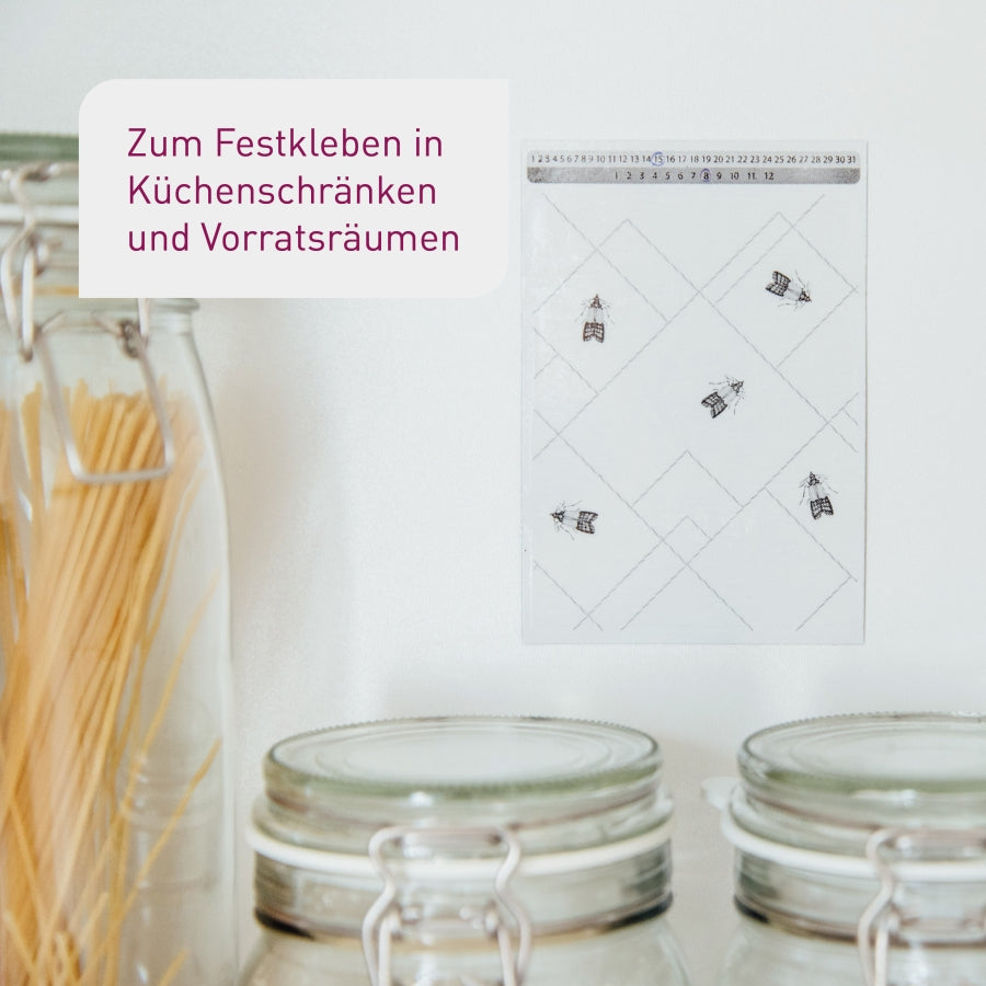 Leimfallen für männliche Lebensmittelmotten