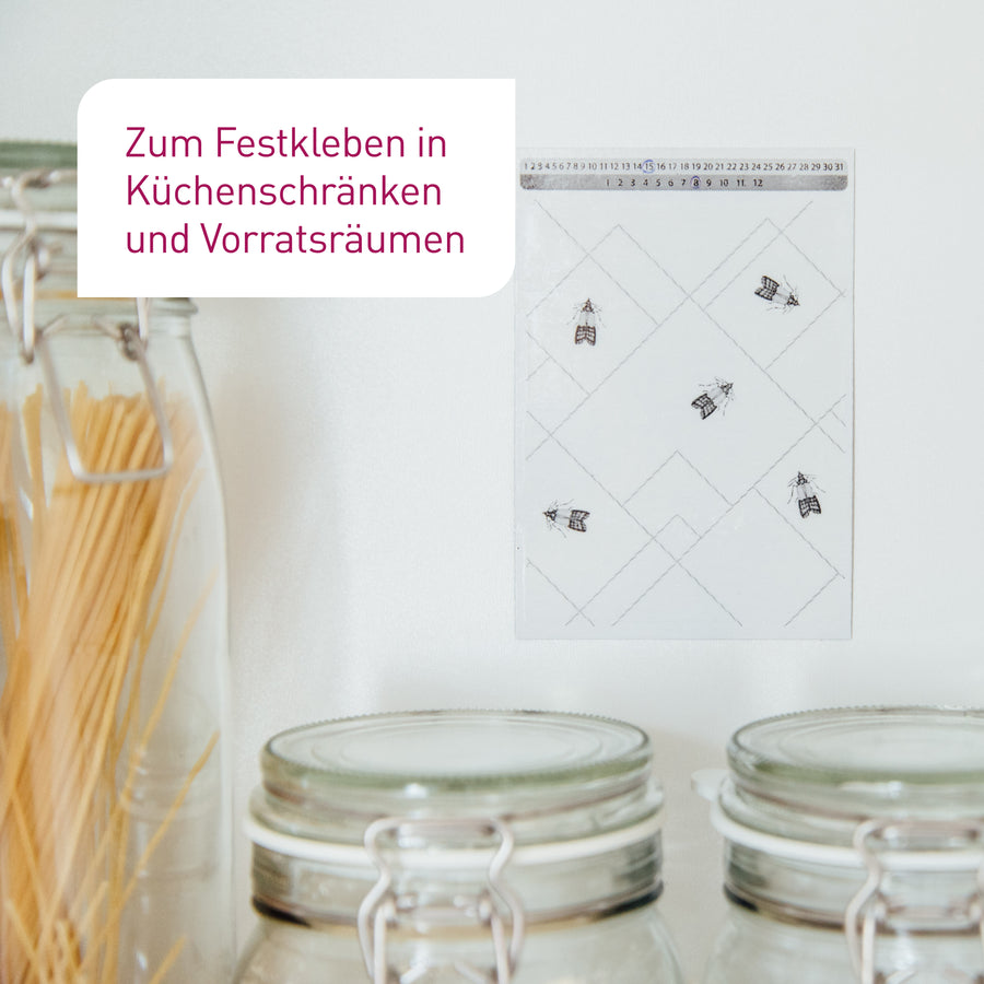 Leimfallen für männliche Lebensmittelmotten