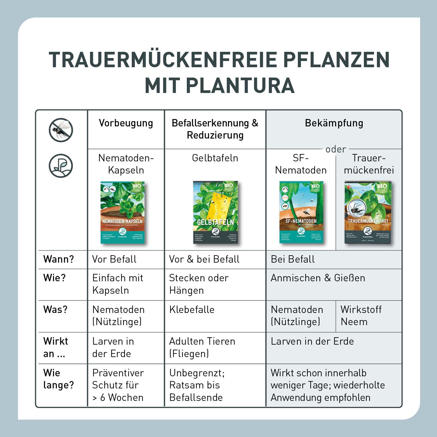 Tabelle zur Trauermücken-Bekämpfung