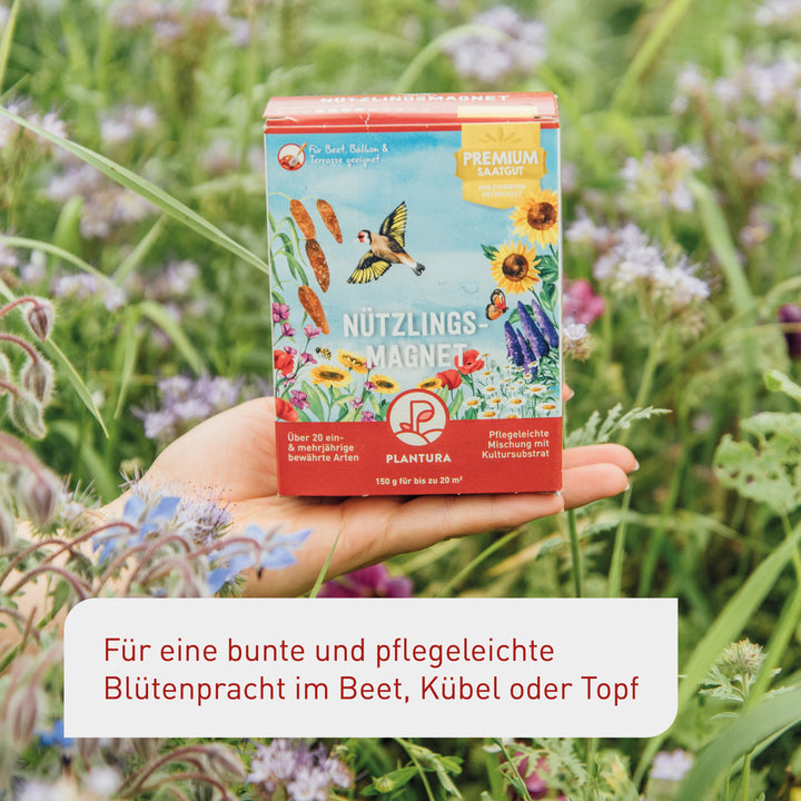 Plantura Nützlingsmagnet für Balkon