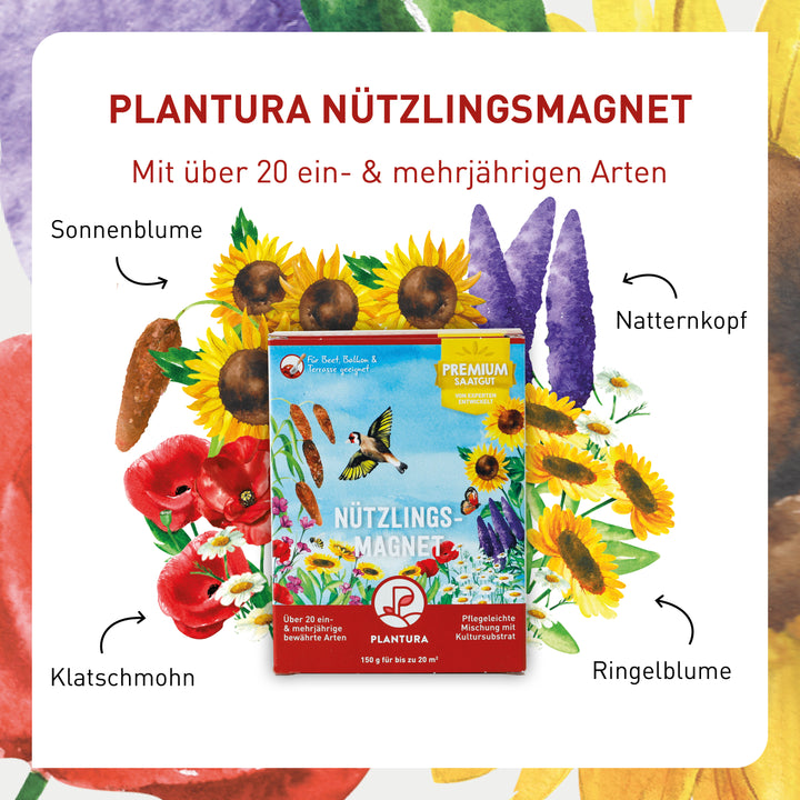 Inhalt Plantura Nützlingsmagnet