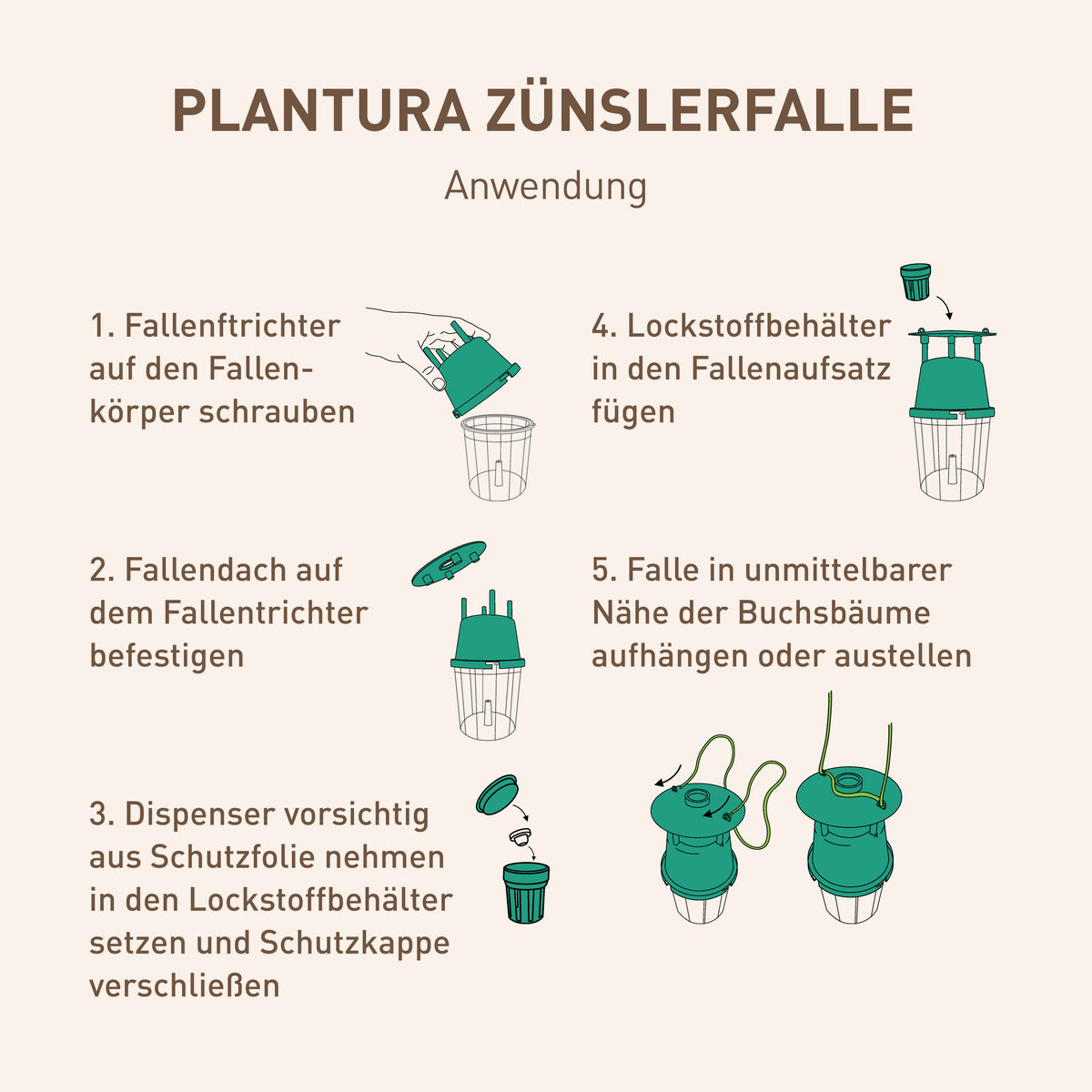 Anwendung Zünslerfalle