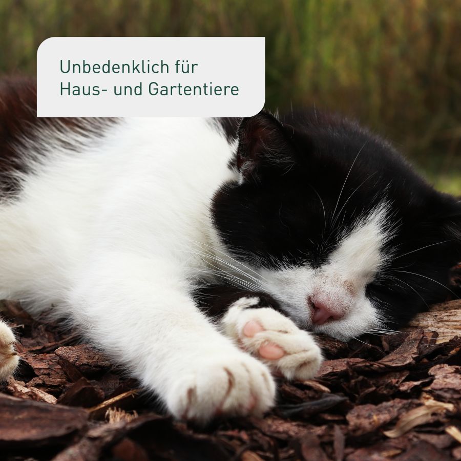 Bio-Pinienrinde unbedenklich für Haustiere