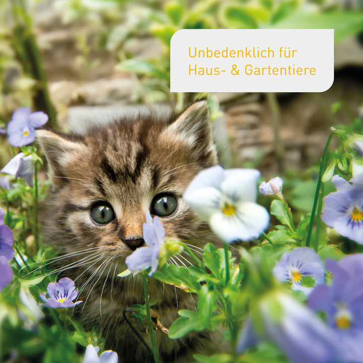 Balkonoase-Set unbedenklich für Haustiere