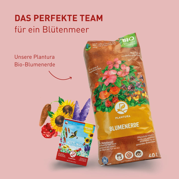 Blumenerde und Nützlingsmagnet von Plantura