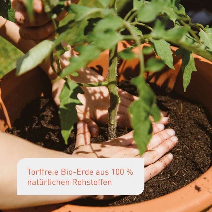 Torffreie Bio-zertifizierte Tomaten- & Gemüseerde