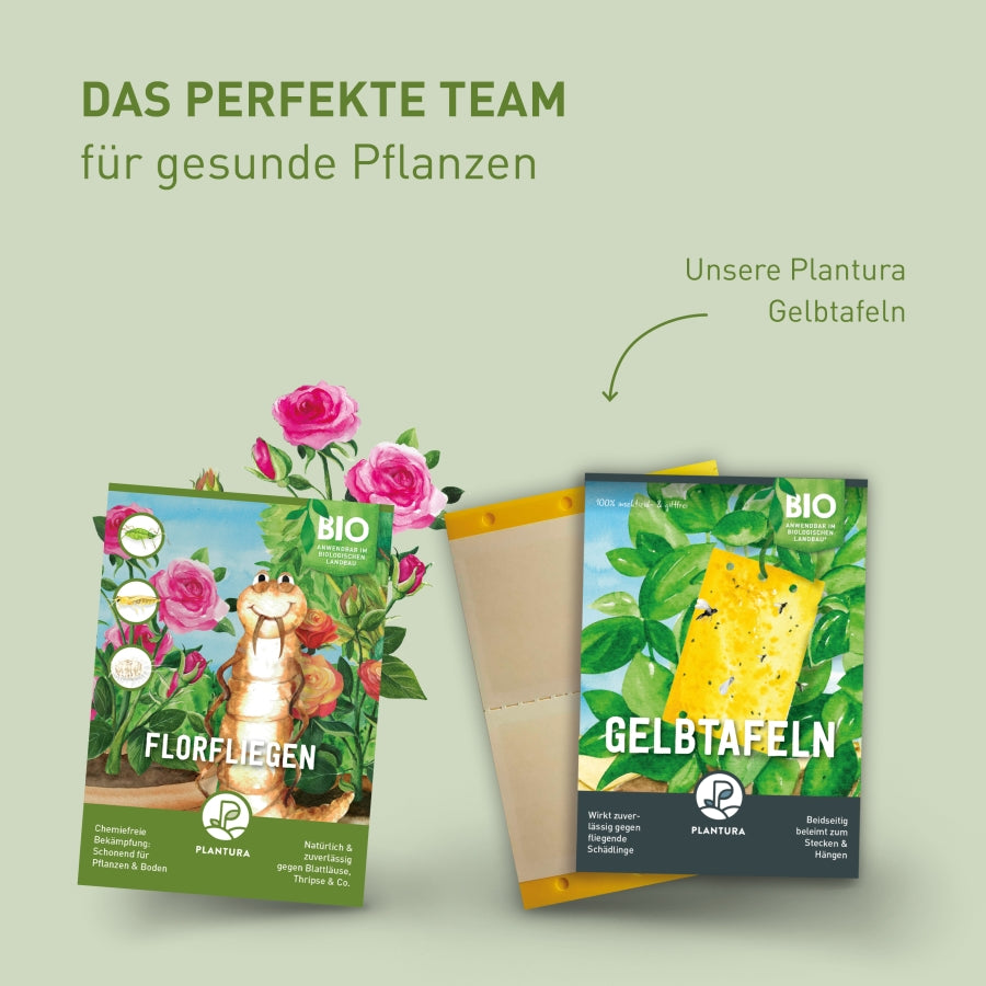 Plantura Florfliegen und Gelbtafeln