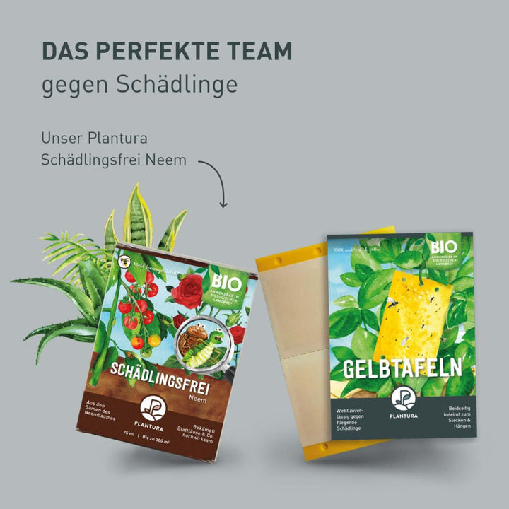 Plantura Gelbtafeln und Trauermückenfrei Neem