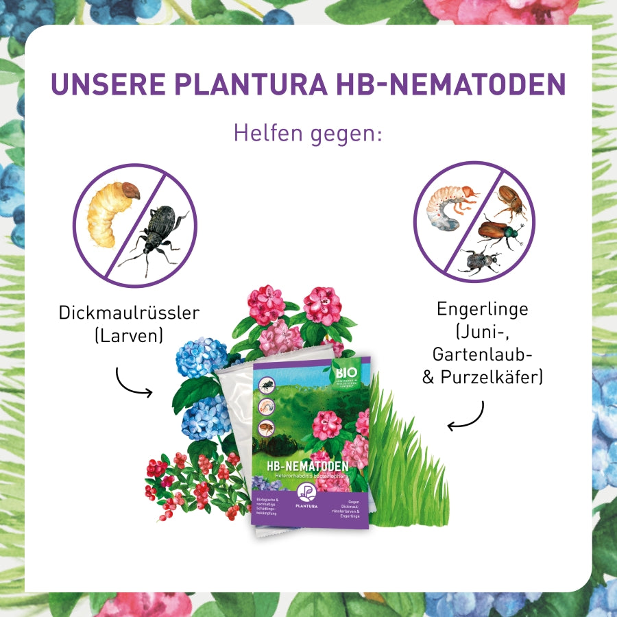 HB-Nematoden gegen Engerlinge und Dickmaulrüssler