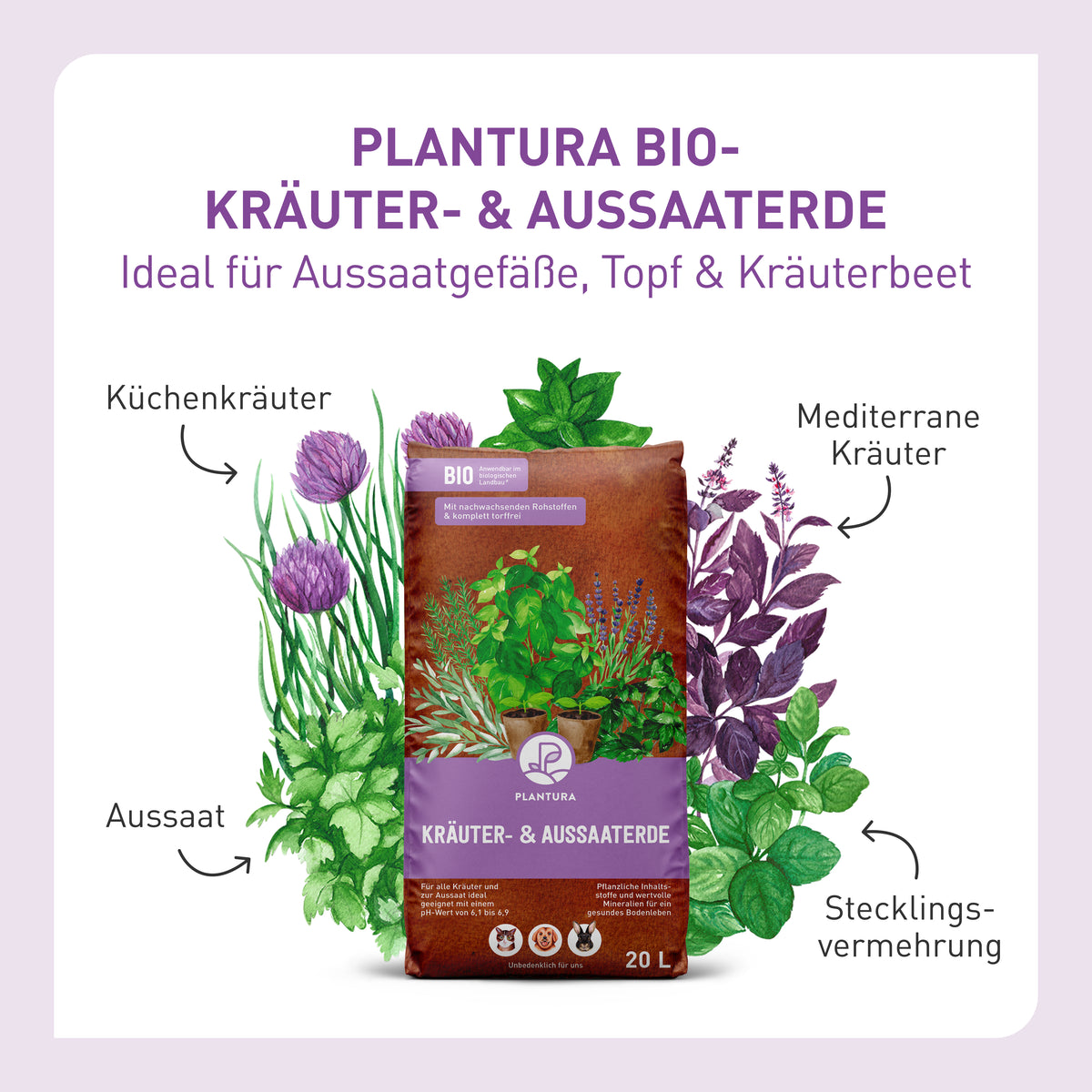 Anwendungsbereiche Plantura Bio-Kräuter- & Aussaaterde