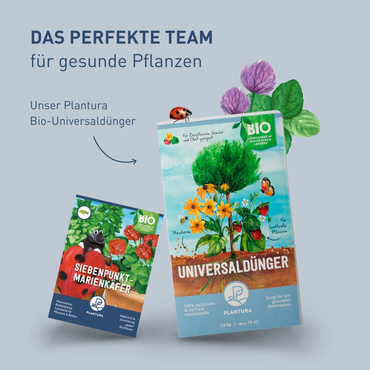 Plantura Marienkäfer und Universaldünger