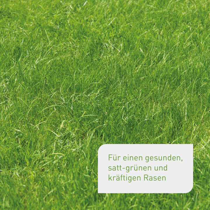 Organischer Bio-Rasendünger von Plantura