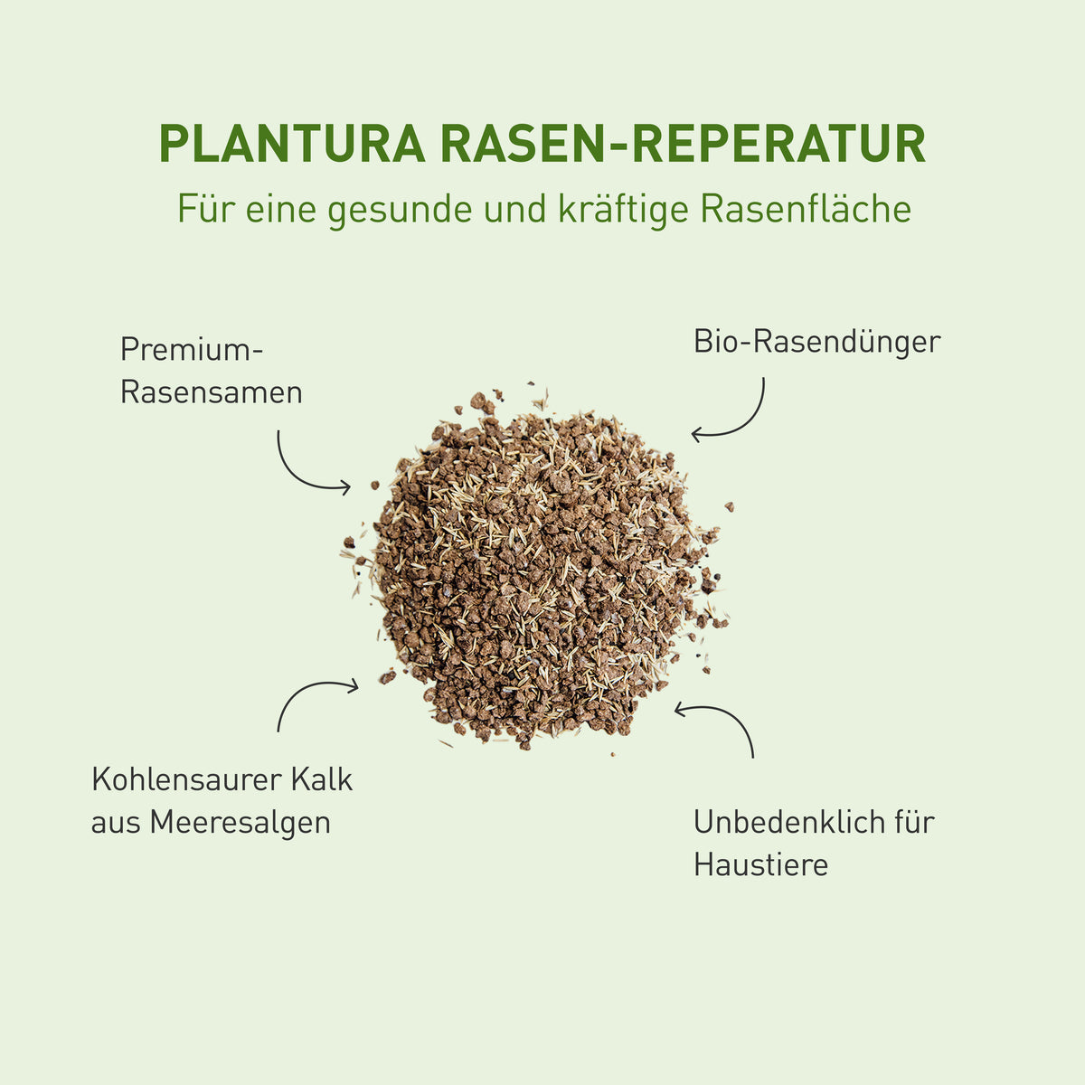 Plantura Rasen-Pflaster