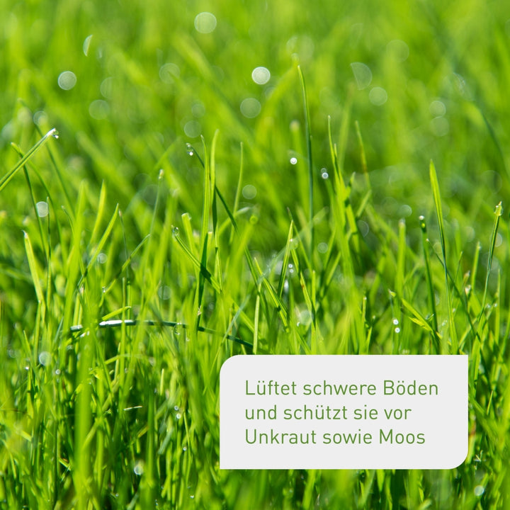 Plantura Rasensand gegen Moos und Unkraut