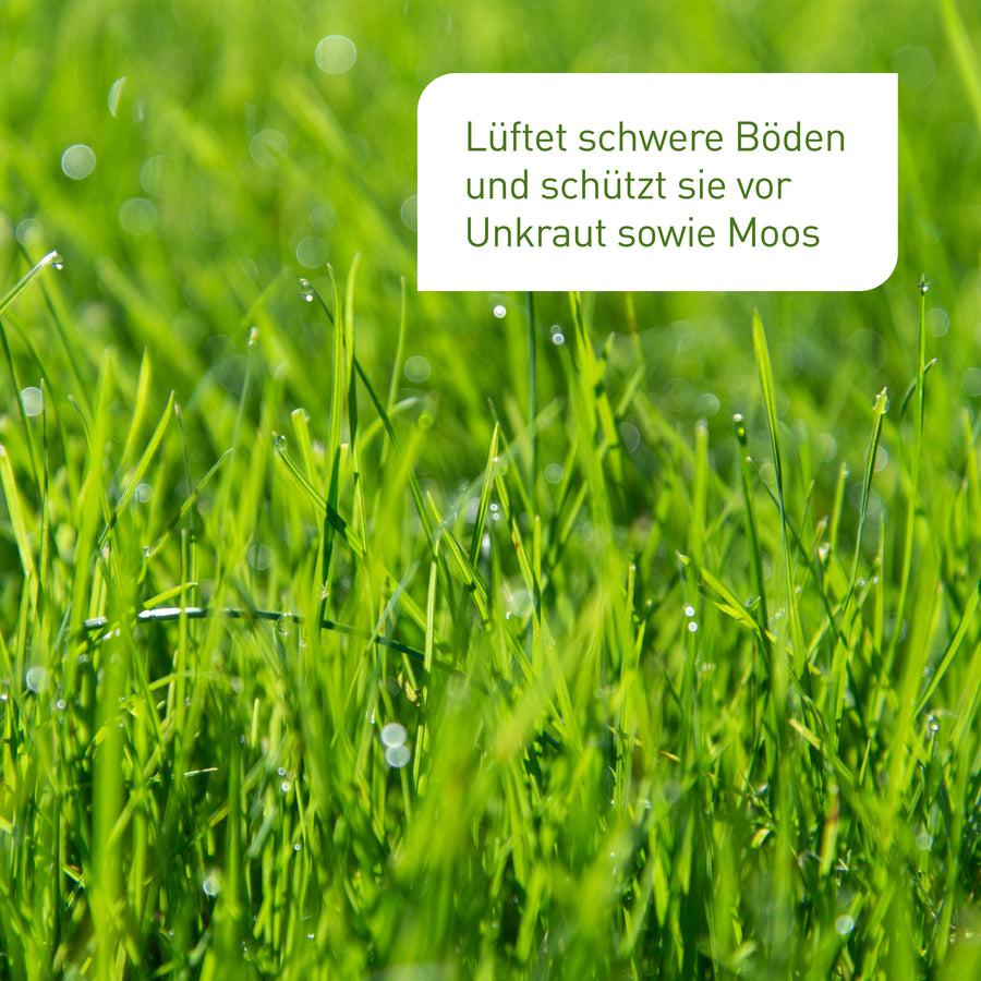 Plantura Rasensand gegen Moos und Unkraut
