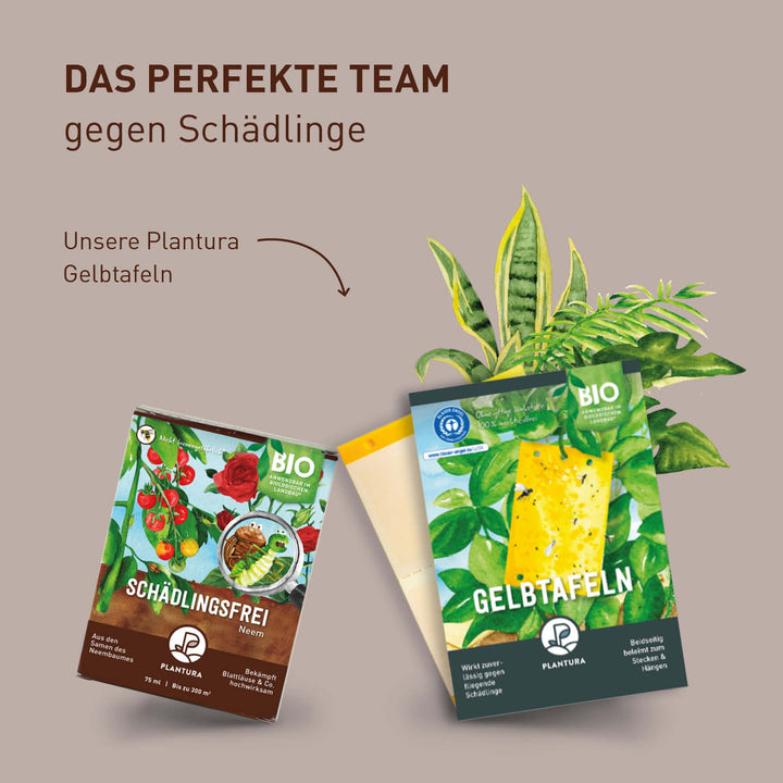 Mittel gegen Blattläuse und Gelbtafeln von Plantura