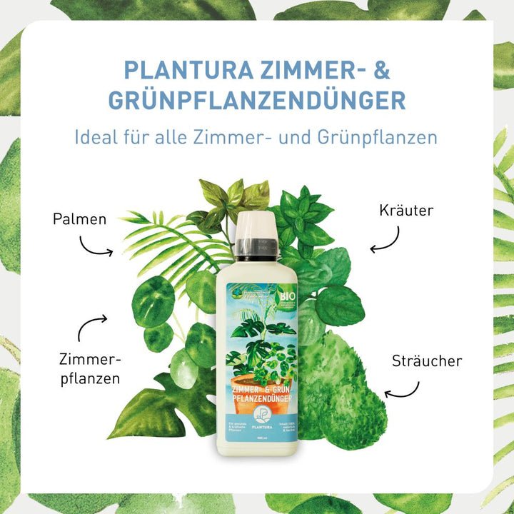 Anwendungsbereiche Plantura Bio-Zimmer- & Grünpflanzendünger