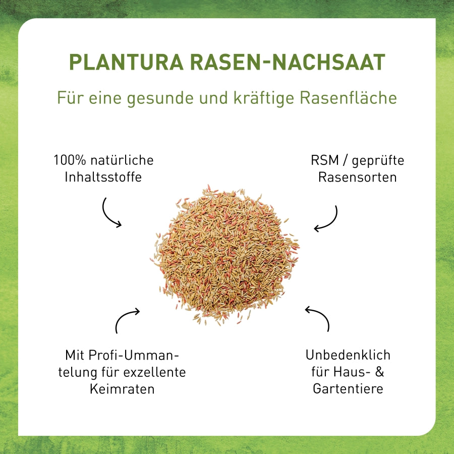 Nachsaat Rasensamen von Plantura