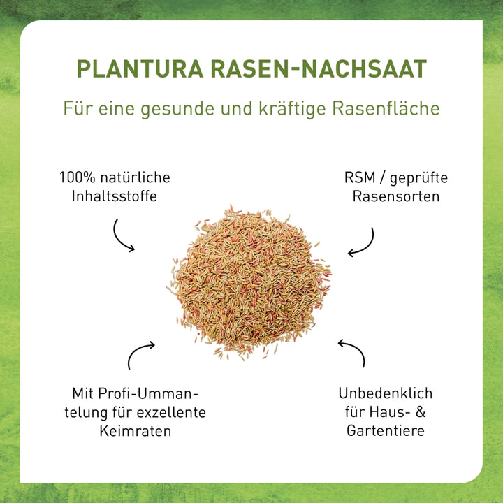Rasen-Nachsaat 1 kg