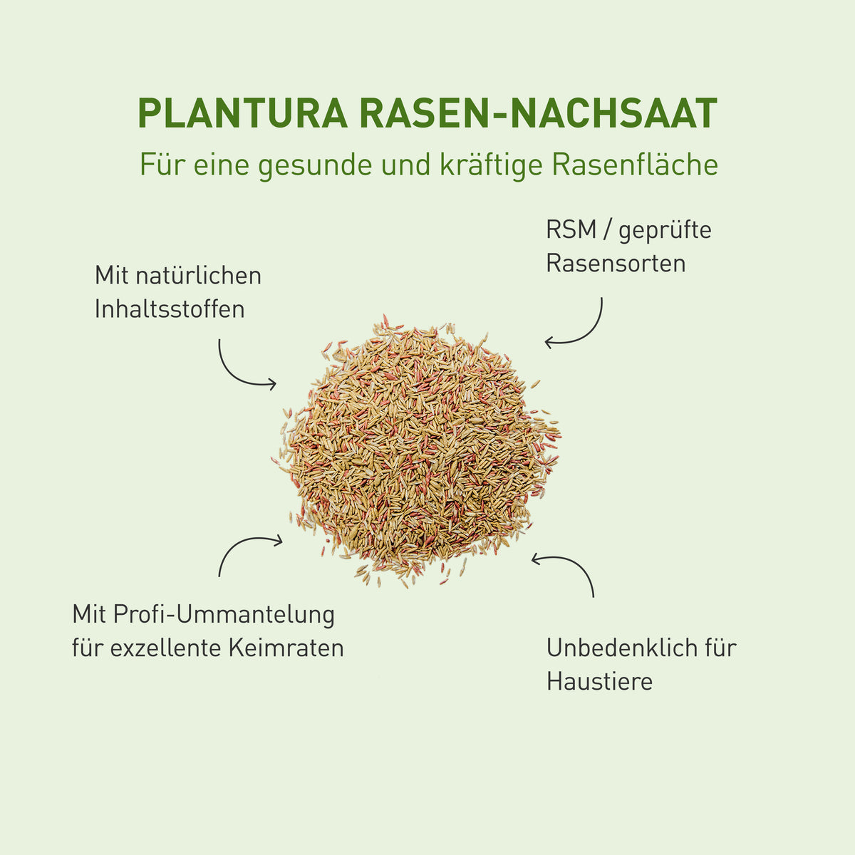 Nachsaat Rasensamen von Plantura
