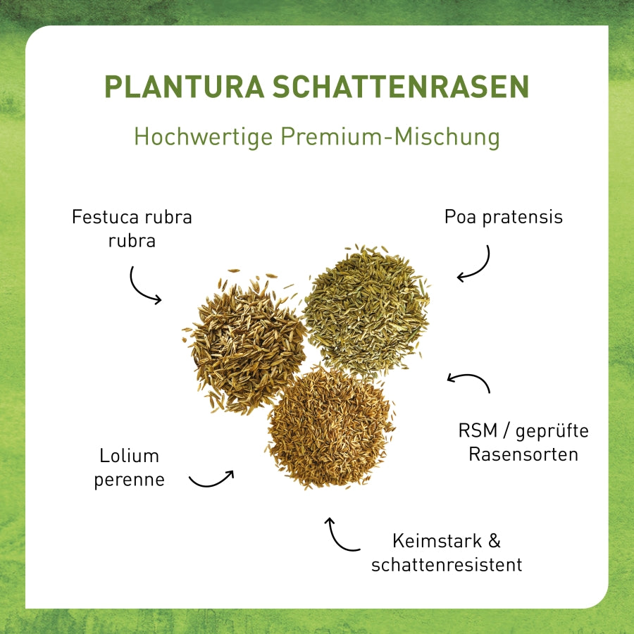 Premium Schattenrasensamen von Plantura
