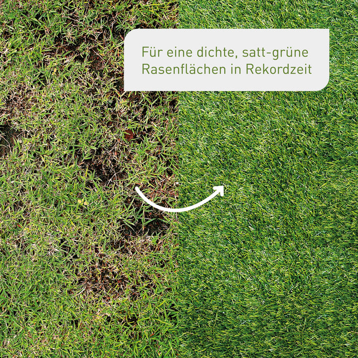 Vorher-Nachher-Vergleich Rasen ausbessern