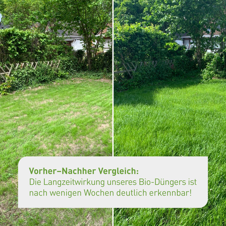 Ergebnis Rasen erneuern