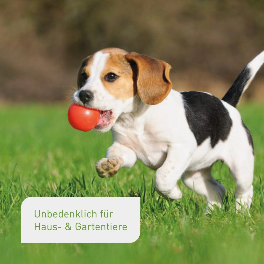 Rasen- & Gartenkalk unbedenklich