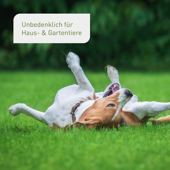 Rasen-Reparatur unbedenklich für Tiere