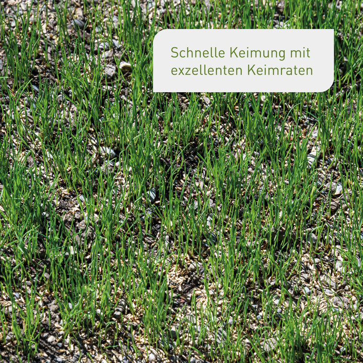 Keimrate Rasen Rettungs-Set