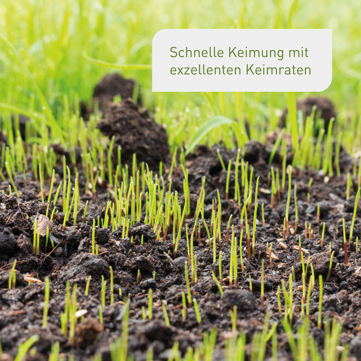 Keimrate Rasenanlage-Set