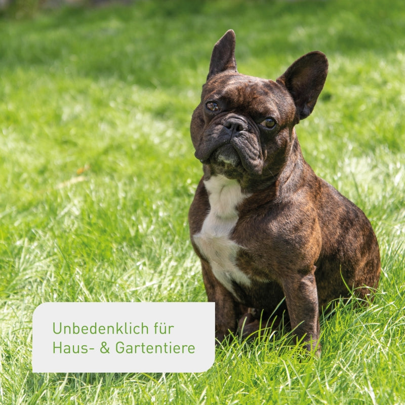 Bio-Rasenerde unbedenklich für Tiere