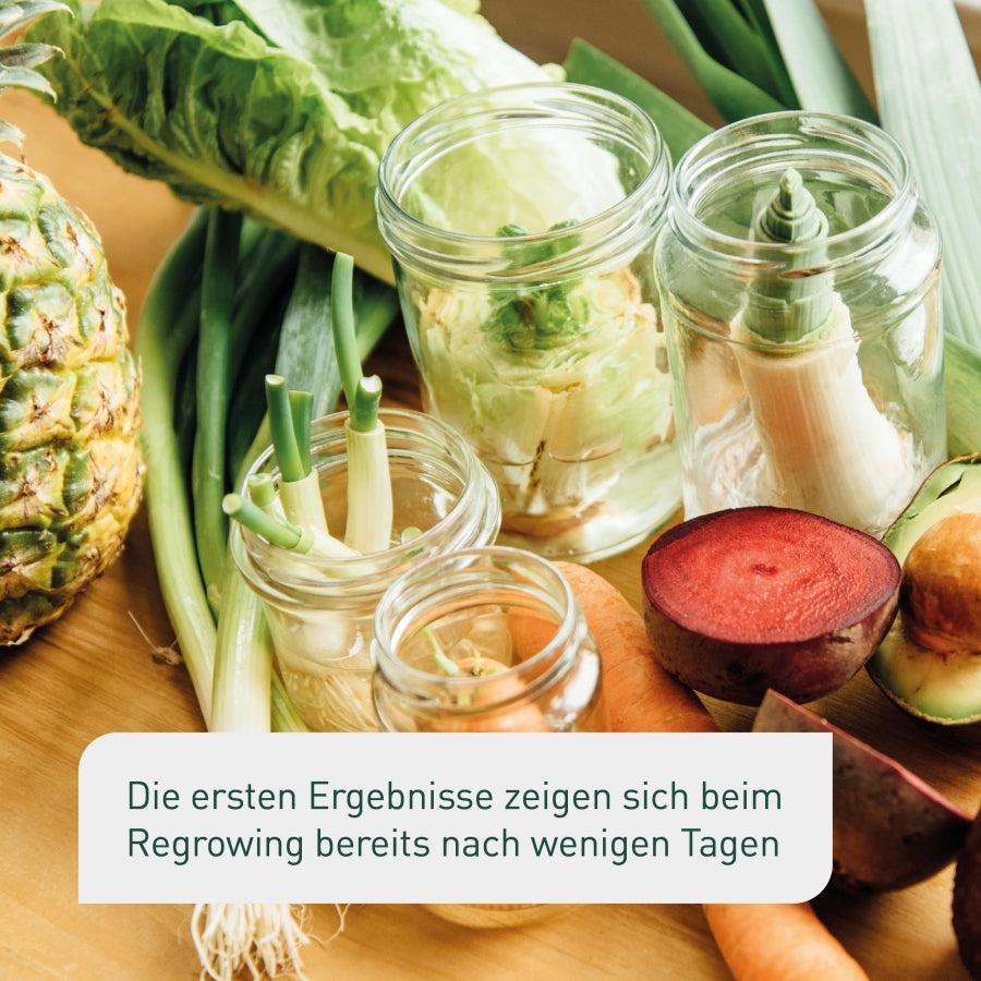 Gemüse nachwachsen lassen