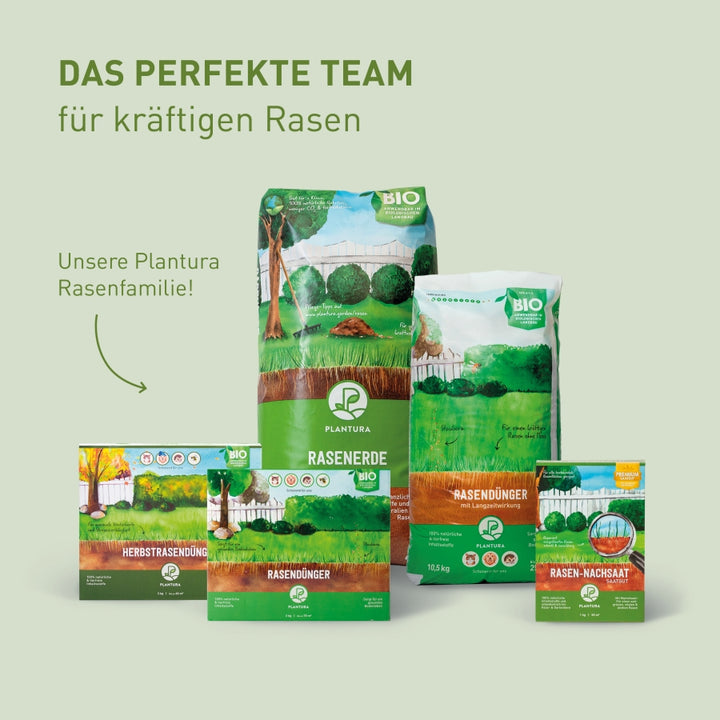 Reparatur-Rasensamen und Rasenprodukte von Plantura