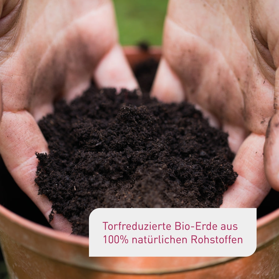Torfreduzierte Bio-Moorbeeterde