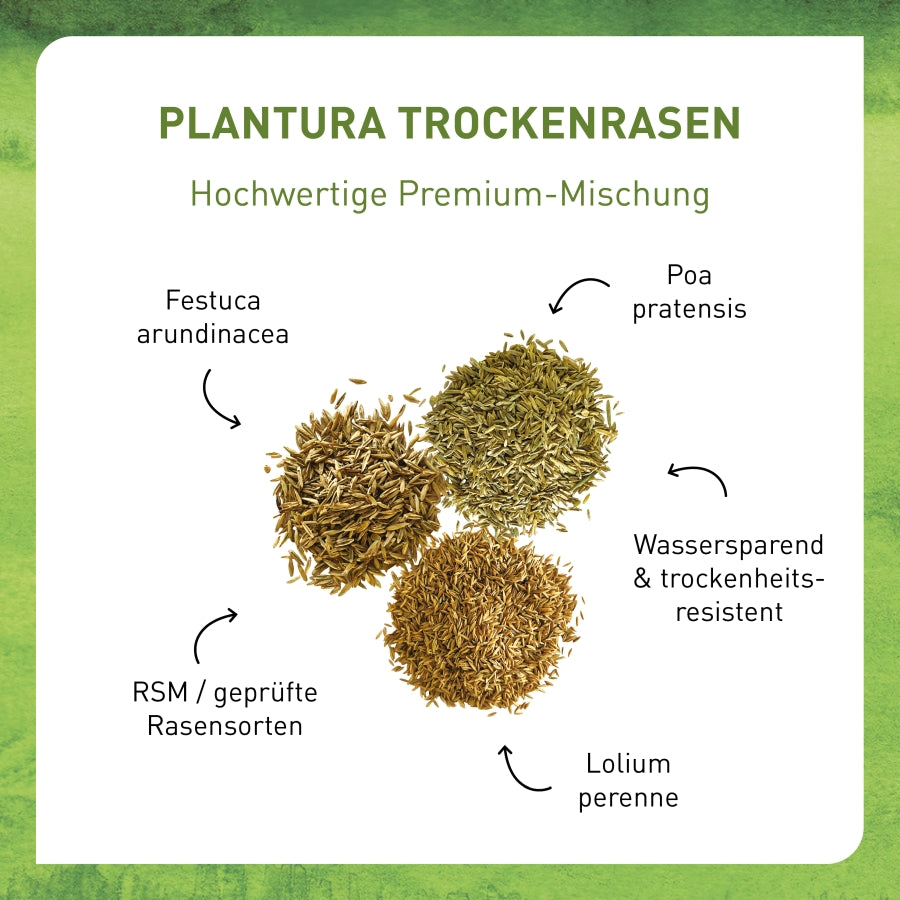 Trockenrasen kaufen
