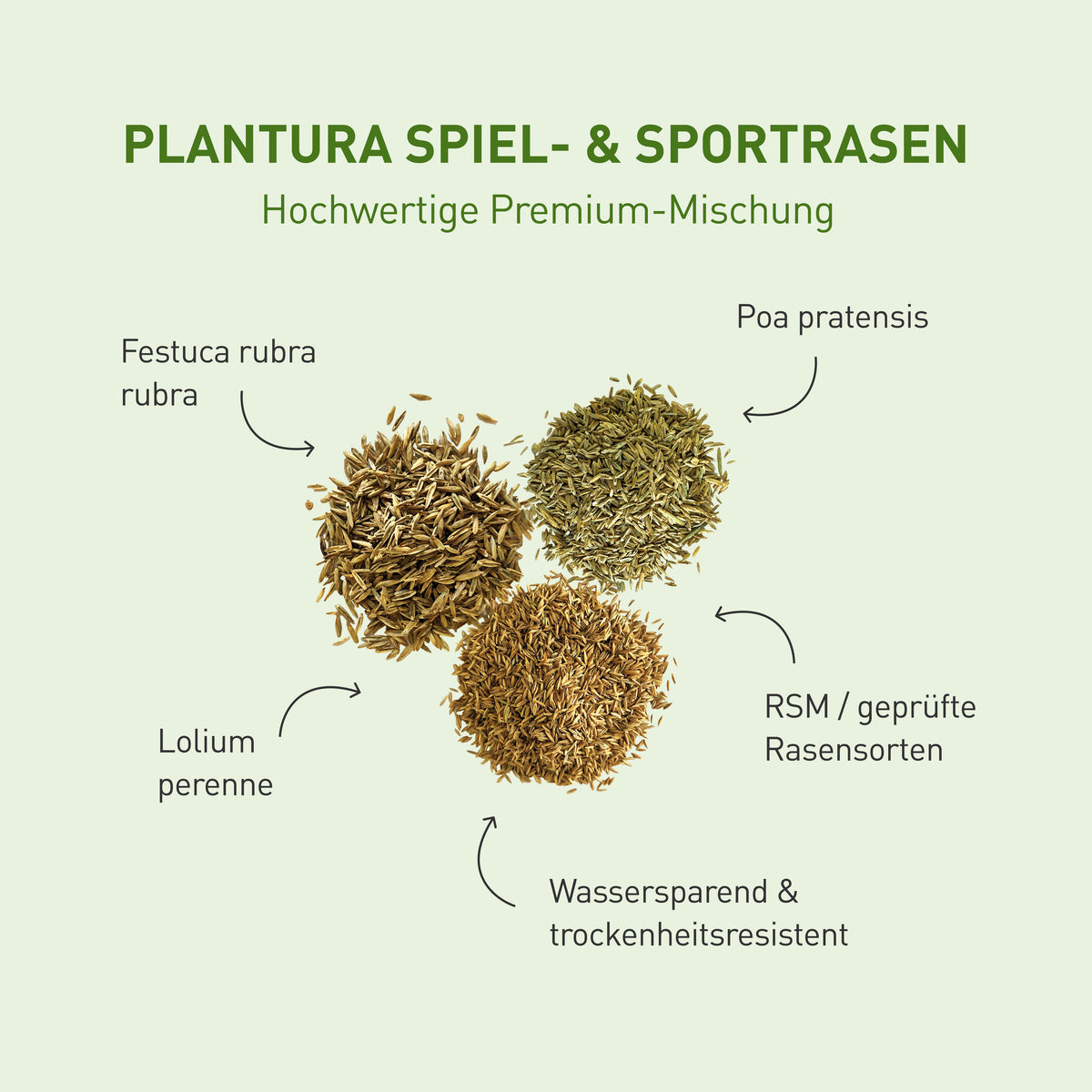 RSM Trockenrasen-Mischung von Plantura