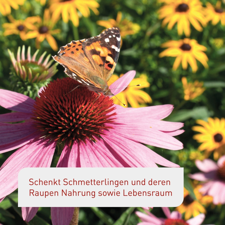 Saatgut für Schmetterlinge im Garten